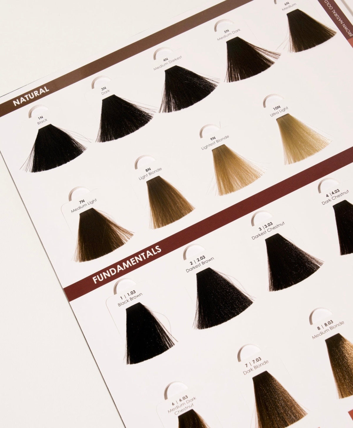 Choosing the Right Prorituals Shade: A Professional's Guide to Shade Selection